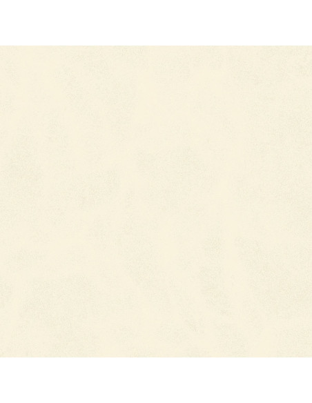 Century Calcio 60 X 60 R